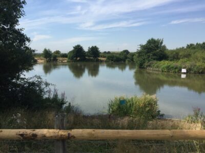 Basildon Area Basildon Area