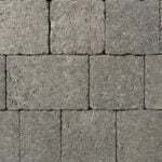 tegula colour 2