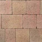 tegula colour 3