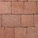 tegula colour 4