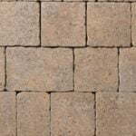 tegula colour 5