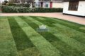 Garden Lawns